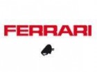Toile micro-perforée Ferrari - Fabricant installateur Stores, Fenêtres, Volets